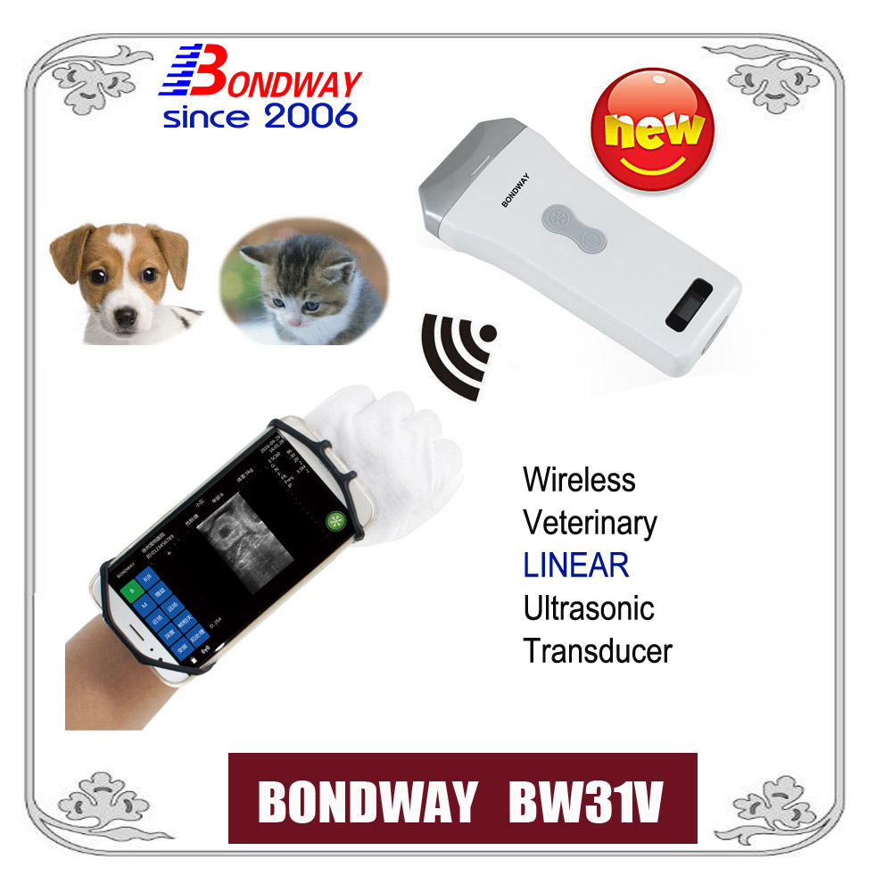 BW31V Wireless Veterinary ultrasound